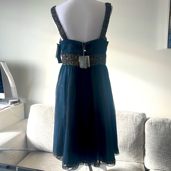 Sachin+ Babi dress size 6. - Picture 4 of 8